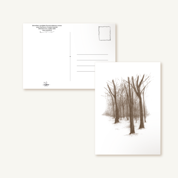 Pocztówka "Zimowe drzewa" A6