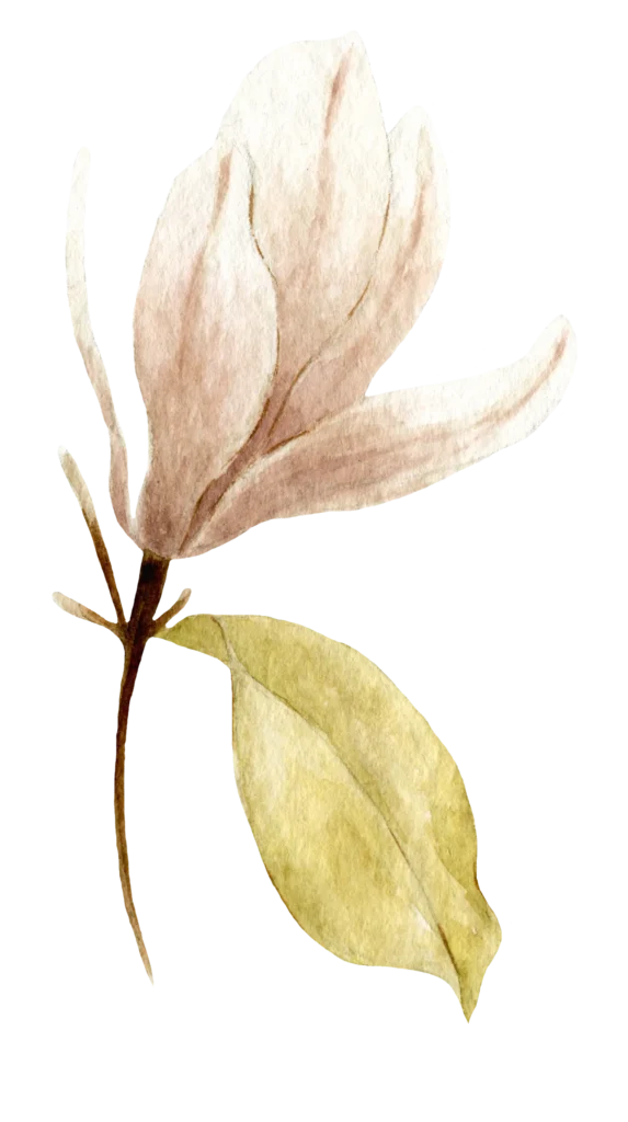 Magnolia akwarela Arcytwór